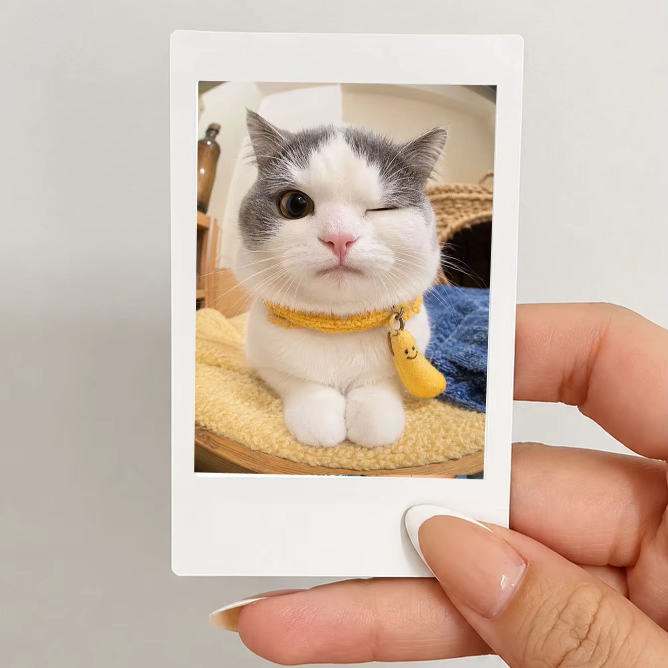 1/3/5Pcs Cetakan Foto Kustom,  - Photographic Memory ulasan dan harga
